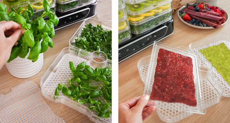 Suszarka do Spożywcza Mozano VitaDry 550 W